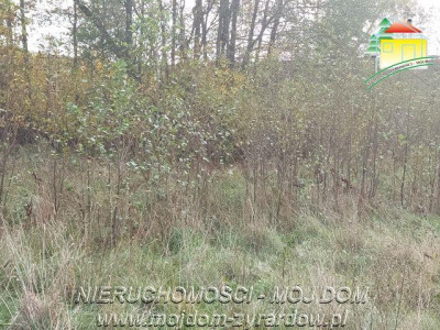 Polecamy dużą działkę budowlano - usługową - Benenard   -
Mazowieckie Zdjęcie nr 4