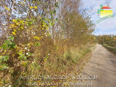 Polecamy dużą działkę budowlano - usługową - Benenard   -
Mazowieckie Zdjęcie nr 5