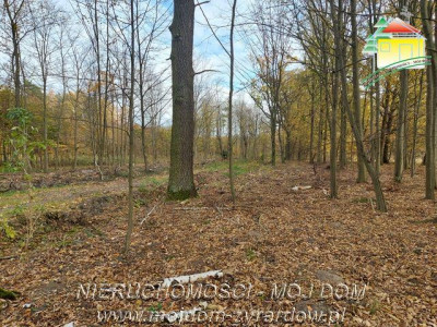 Kształtna działka w Benenardzie - Benenard   -
Mazowieckie Zdjęcie nr 3