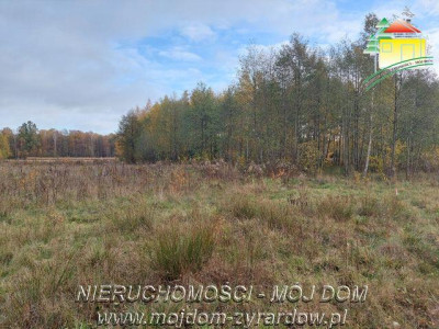 Ładna działka budowlano usługowa w m Benenard - Benenard   -
Mazowieckie Zdjęcie nr 3