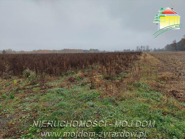 Polecamy działki w Miedniewicach - Miedniewice   -
Mazowieckie Zdjęcie nr 1