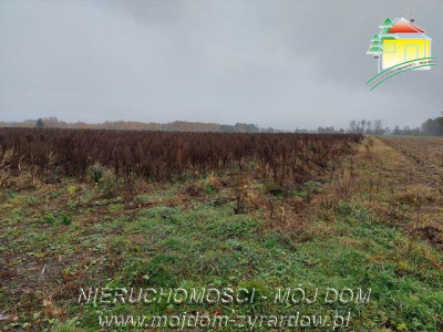 Polecamy działki w Miedniewicach - Miedniewice   -
Mazowieckie Zdjęcie nr 5