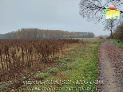 Polecamy działki w Miedniewicach - Miedniewice   - Mazowieckie