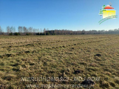 Trzy działki budowlane w Aleksandrii - Aleksandria   -
Mazowieckie