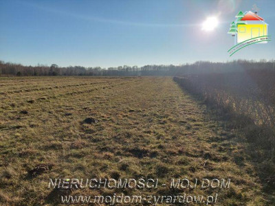 Trzy działki budowlane w Aleksandrii - Aleksandria   -
Mazowieckie Zdjęcie nr 5