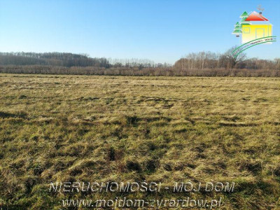 Do sprzedaży 8 działek  - Aleksandria   -
Mazowieckie