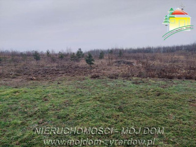 Działka rolna w pilnej sprzedaży - Edwardowo   -
Mazowieckie Zdjęcie nr 3