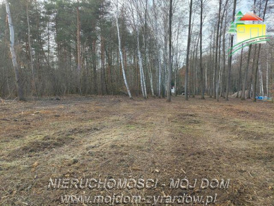 Działka budowlana w leśnej okolicy - Adamów-Wieś   -
Mazowieckie Zdjęcie nr 2