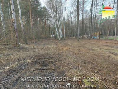 Działka budowlana w leśnej okolicy - Adamów-Wieś   -
Mazowieckie Zdjęcie nr 4
