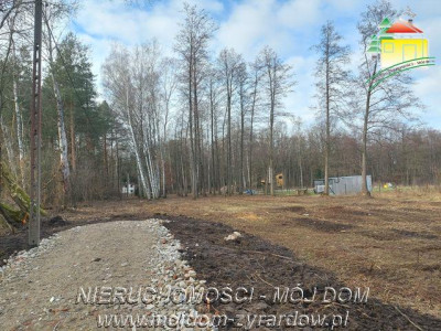 Działka budowlana w leśnej okolicy - Adamów-Wieś   -
Mazowieckie Zdjęcie nr 5