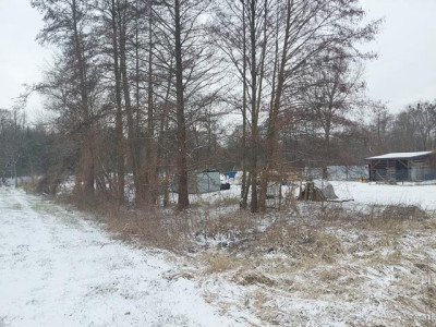 Działka budowlana w Korytowie - Korytów   -
Mazowieckie Zdjęcie nr 2