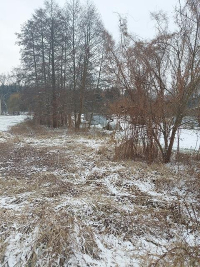 Działka budowlana w Korytowie - Korytów   -
Mazowieckie Zdjęcie nr 4