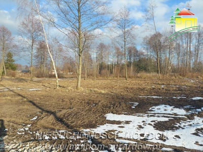 Polecamy cztery działki budowlane w m Mrozy - Mrozy   - Mazowieckie