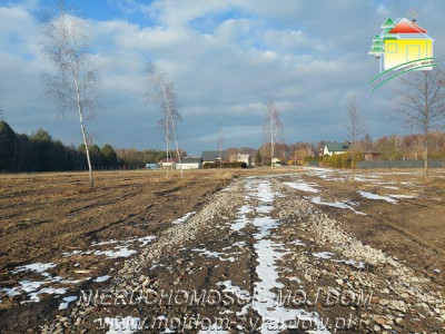Polecamy cztery działki budowlane w m Mrozy - Mrozy   -
Mazowieckie Zdjęcie nr 4