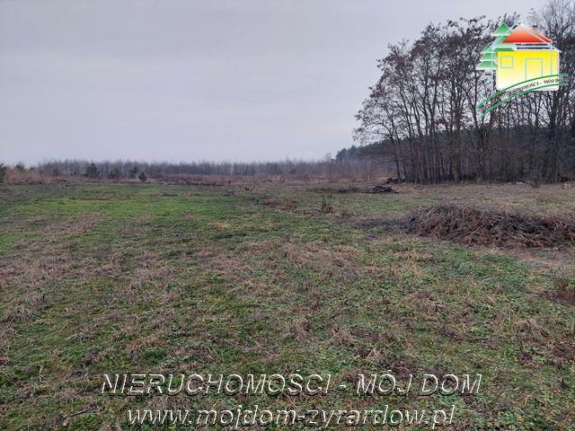 Działka rolna w pilnej sprzedaży - Edwardowo   -
Mazowieckie Zdjęcie nr 1