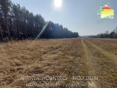 Śliczna działka budowlana w Walerianach - Waleriany   -
Mazowieckie Zdjęcie nr 2
