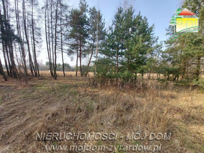 Śliczna działka budowlana w Walerianach - Waleriany   -
Mazowieckie Zdjęcie nr 3