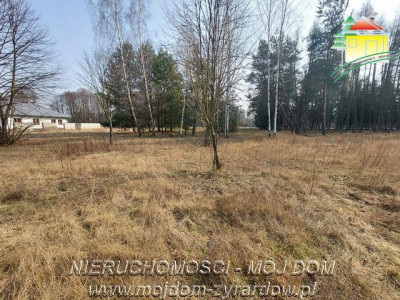 Śliczna działka budowlana w Walerianach - Waleriany   -
Mazowieckie Zdjęcie nr 4