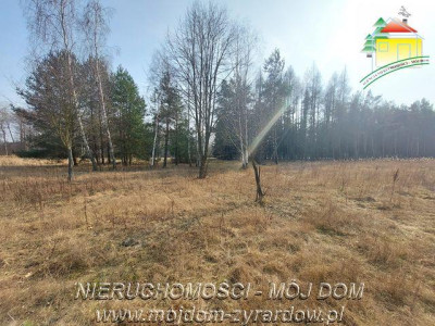 Śliczna działka budowlana w Walerianach - Waleriany   -
Mazowieckie Zdjęcie nr 5