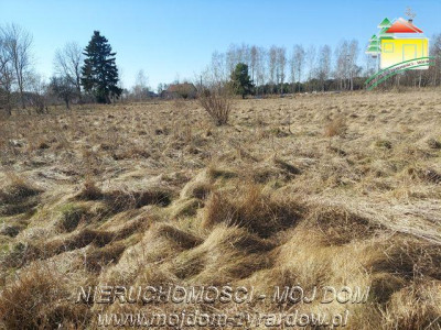 Ładna działka budowlana - Bednary   -
Mazowieckie Zdjęcie nr 3