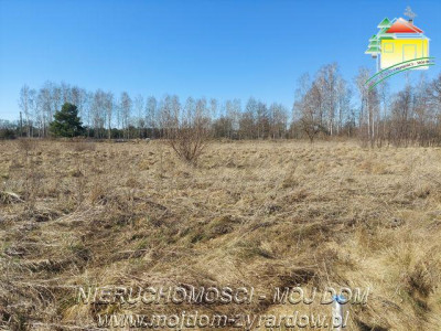 Ładna działka budowlana - Bednary   -
Mazowieckie Zdjęcie nr 4