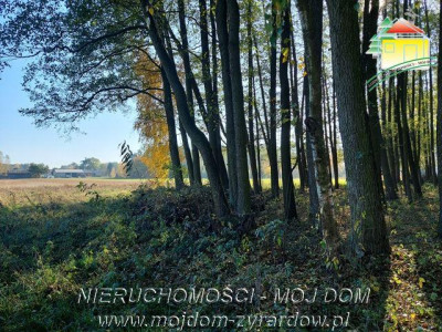 Polecamy kilka atrakcyjnych działek budowlanych w Radziwiłłowie - Radziwiłłów   -
Mazowieckie Zdjęcie nr 4