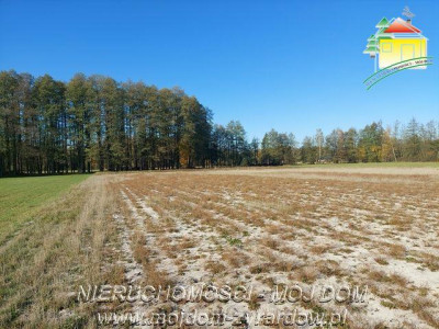 Polecamy kilka atrakcyjnych działek budowlanych w Radziwiłłowie - Radziwiłłów   -
Mazowieckie Zdjęcie nr 5