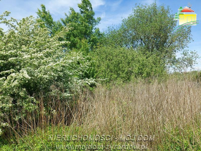 Działka budowlana - Jaktorów   -
Mazowieckie Zdjęcie nr 2