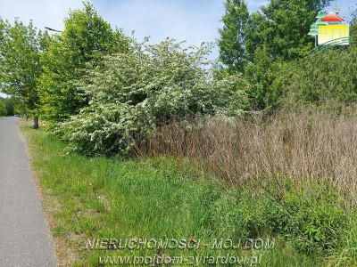 Działka budowlana - Jaktorów   -
Mazowieckie Zdjęcie nr 5