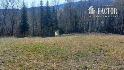 Widokowa działka budowlana 12,79 ara – Bieśnik, gm. Łużna 1183S/2026 -
Małopolskie Zdjęcie nr 4
