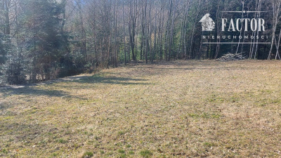 Widokowa działka budowlana 12,79 ara – Bieśnik, gm. Łużna 1183S/2026 -
Małopolskie Zdjęcie nr 5