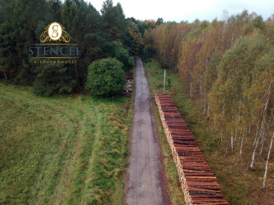 Piękne działki na Kaszubach przy lesie - Rozłazino  -
pomorskie Zdjęcie nr 7