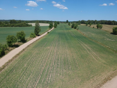 Piękne siedlisko Skrzydłowo Kaszuby - Skrzydłowo  -
pomorskie Zdjęcie nr 2