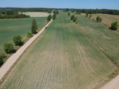 Piękne siedlisko Skrzydłowo Kaszuby - Skrzydłowo  -
pomorskie Zdjęcie nr 3