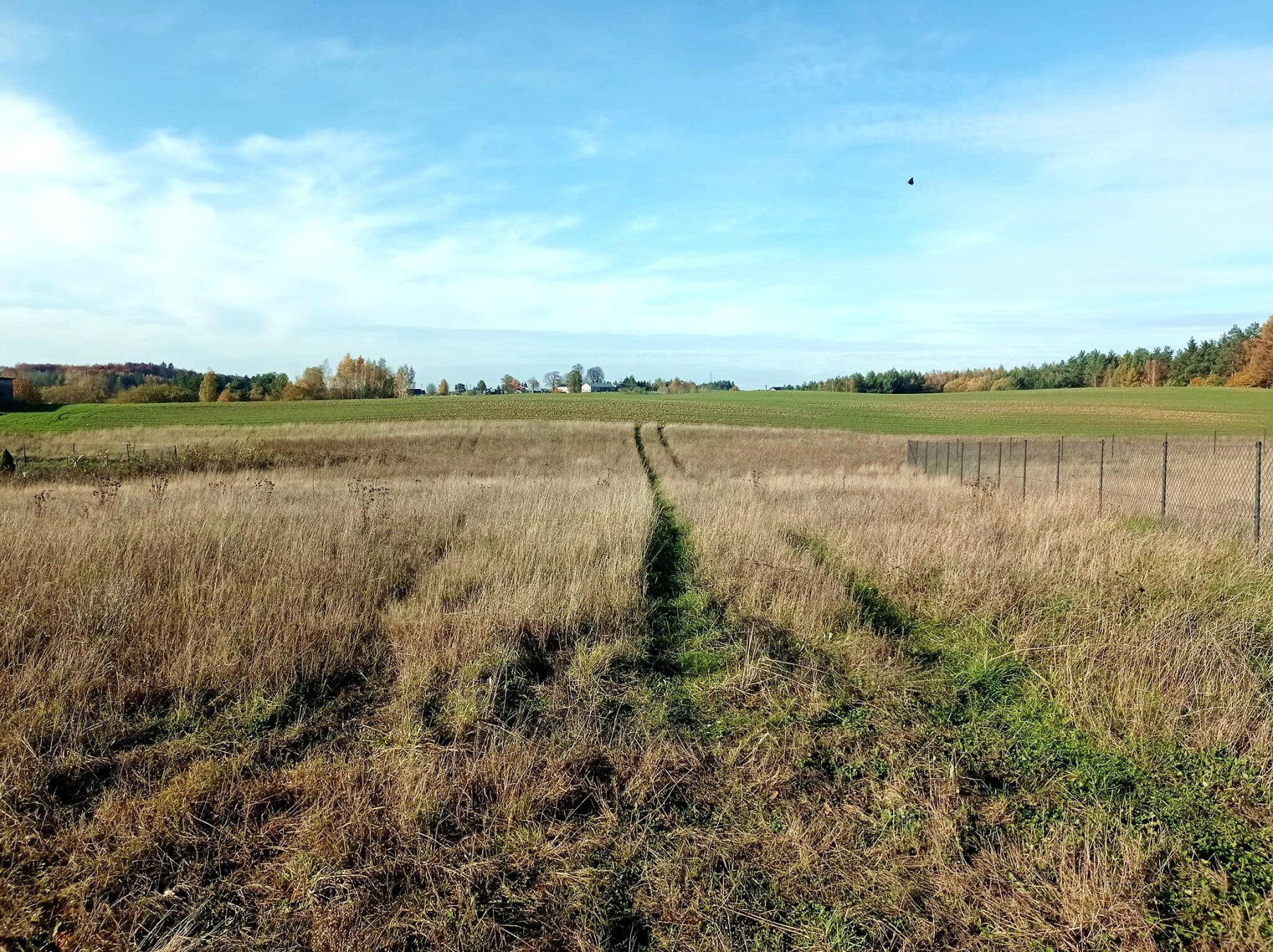 Piękna działka 300 m od jeziora  - Połęczyno  -
pomorskie Zdjęcie nr 1