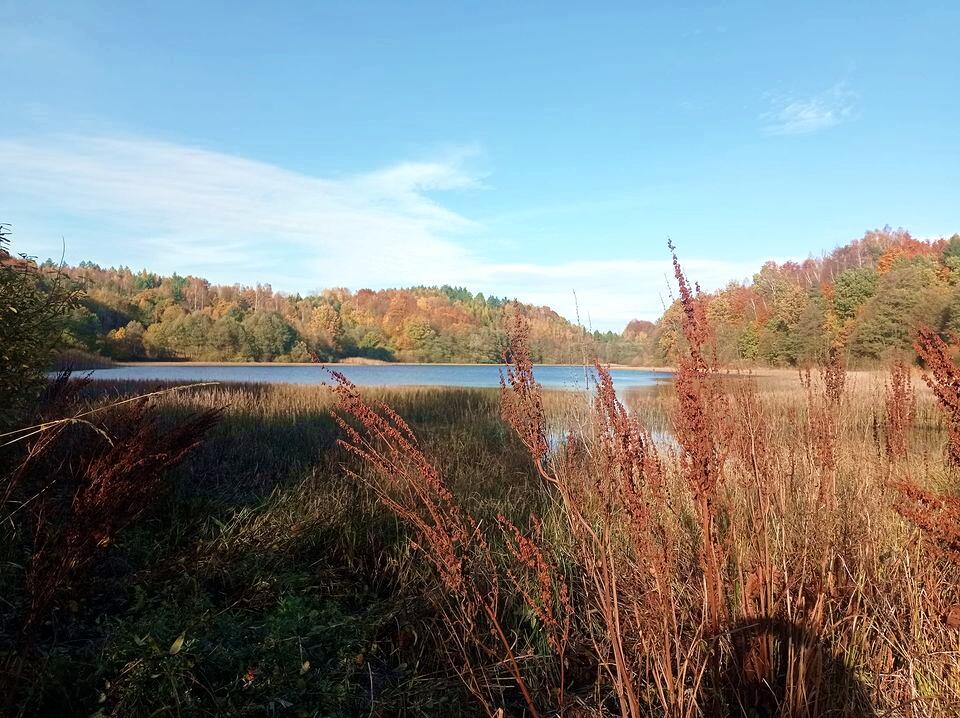 Działka 300 m od jeziora Kaszuby Połęczyno - Połęczyno  -
pomorskie Zdjęcie nr 1