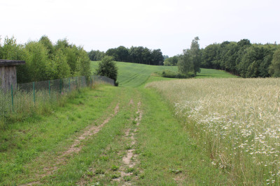 Piękne działki w Borowym Lesie na sprzedaż - Borowy Las   -
pomorskie Zdjęcie nr 2
