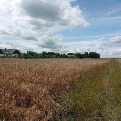 Działka na sprzedaż w Skrzeszewie Żukowskim - Skrzeszewo   -
pomorskie