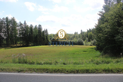 Na sprzedaż teren inwestycyjny przy trasie Kartuzy- Sierakowice - Mojusz   -
pomorskie