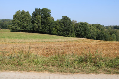 Piękne działki na sprzedaż Bursztynik - Bursztynik   -
pomorskie Zdjęcie nr 2