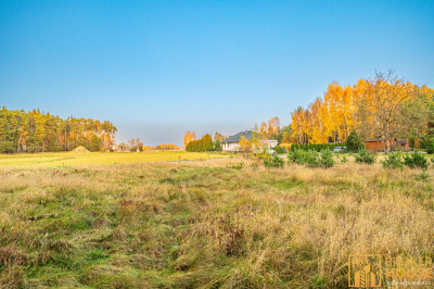 Działka budowlana w Ozimku uroczo usytuowana wśród pól i lasów - Schodnia  -
Opolskie Zdjęcie nr 10