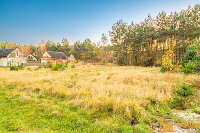 Działka budowlana w Ozimku uroczo usytuowana wśród pól i lasów - Schodnia  -
Opolskie Zdjęcie nr 11