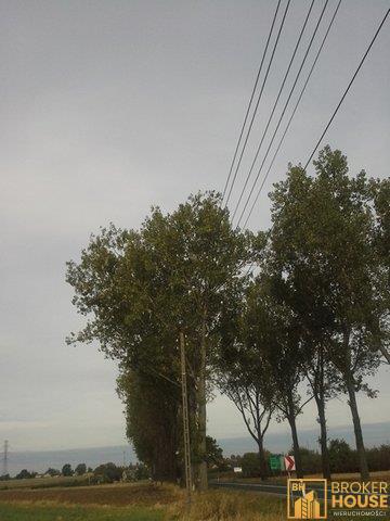 DZIAŁKA INWESTYCYJNA - Jaworzno Bankowe  -
Opolskie Zdjęcie nr 6