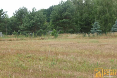 Działka rekreacyjna - Masów  -
Opolskie Zdjęcie nr 2