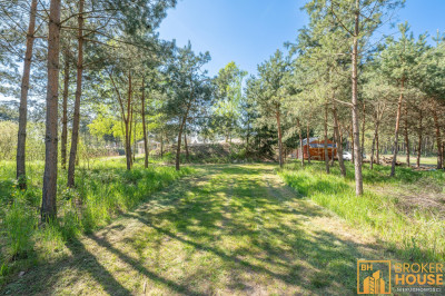 Stawy z rybaczówką przy ścianie lasu - Brynica  -
Opolskie Zdjęcie nr 10