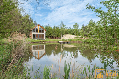 Stawy z rybaczówką przy ścianie lasu - Brynica  -
Opolskie Zdjęcie nr 11