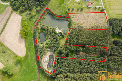 Stawy z rybaczówką przy ścianie lasu - Brynica  -
Opolskie Zdjęcie nr 2