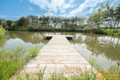 Stawy z rybaczówką przy ścianie lasu - Brynica  -
Opolskie Zdjęcie nr 7