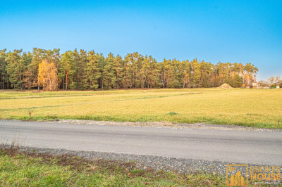 Działka budowlana w Ozimku uroczo usytuowana wśród pól i lasów - Schodnia  -
Opolskie Zdjęcie nr 12