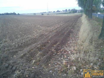 DZIAŁKA INWESTYCYJNA - Jaworzno Bankowe  -
Opolskie Zdjęcie nr 4